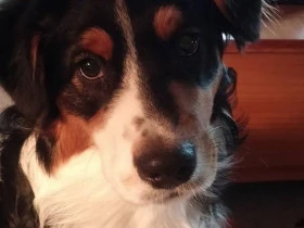 Beasley