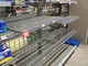 Pantry32Shelves3